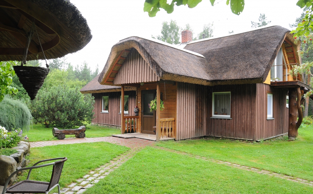 Klusās niedres
