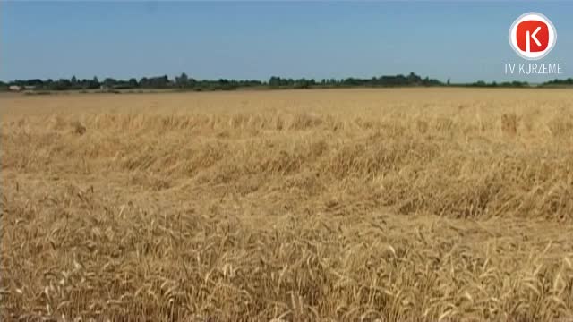 Ostā sākusies graudaugu kravu sezona