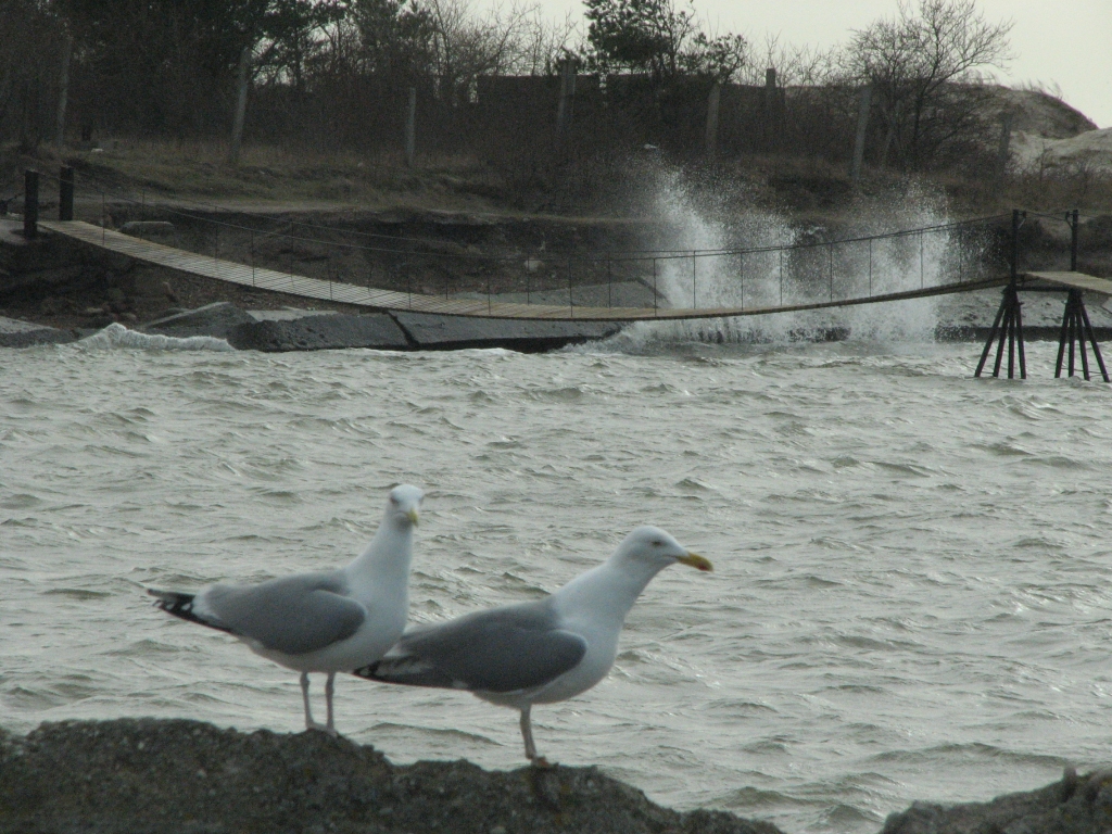 Vakarā Liepājā gaidāms spēcīgs vējš