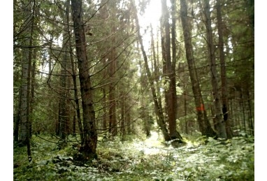 Skolēni iepazīs dabas vērtības