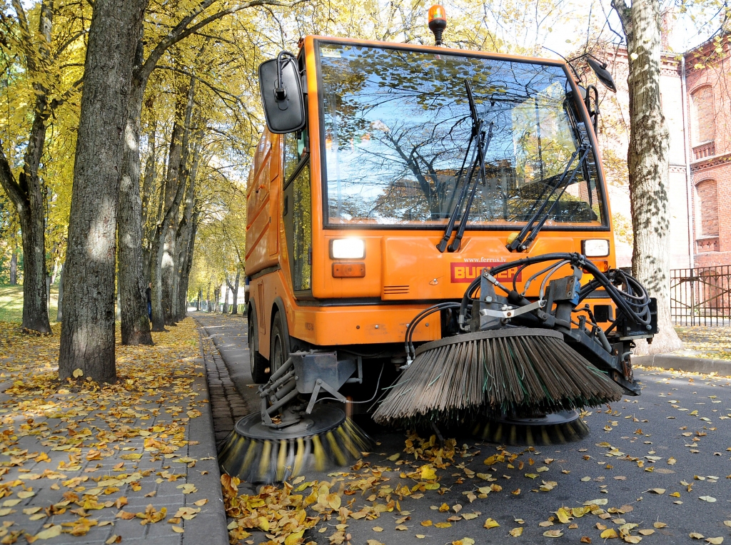 Šis kaķis lapas ķer veiklāk nekā peles