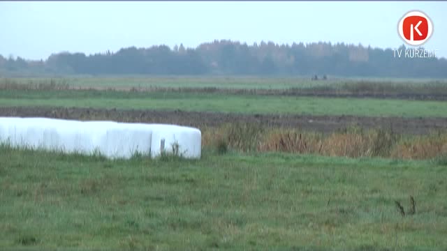 Plāno samazināt pašvaldību skaitu četras reizes