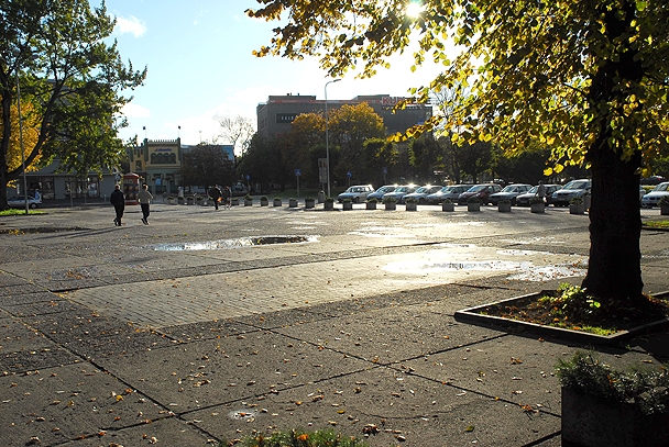 Ideja par “Rožu galeriju” joprojām dzīva