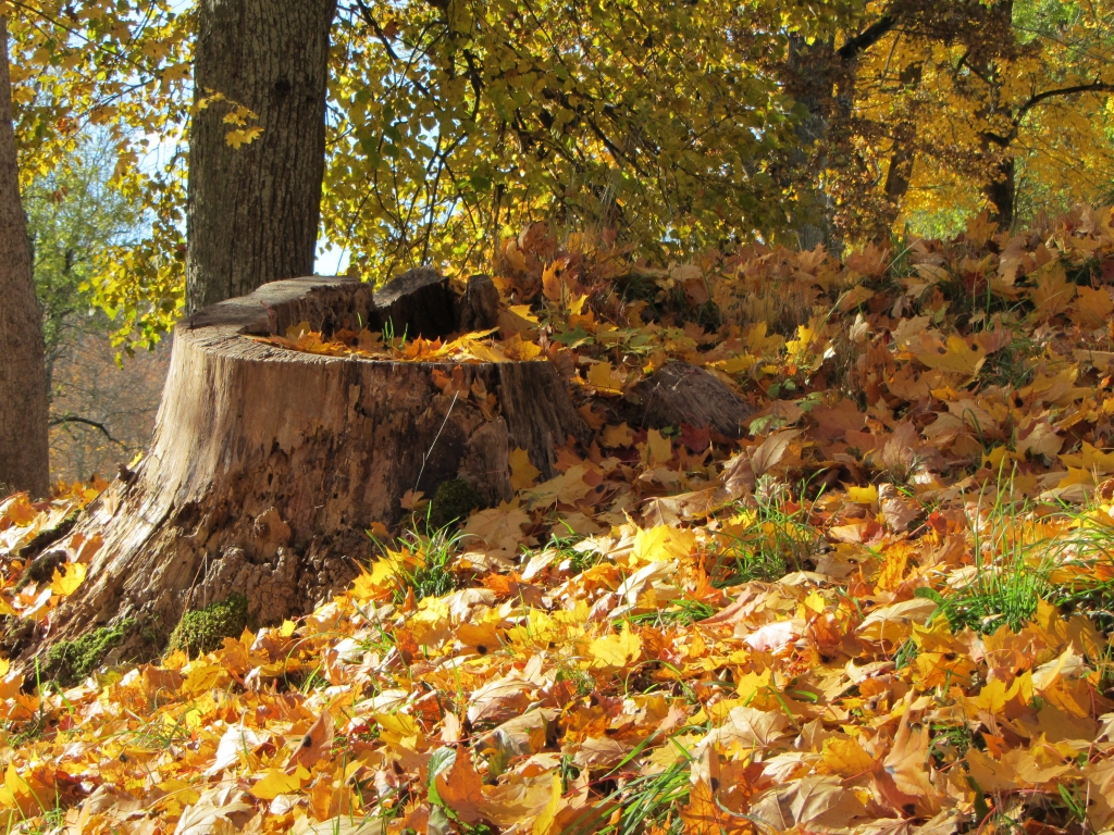 Rudens apglezno Latviju