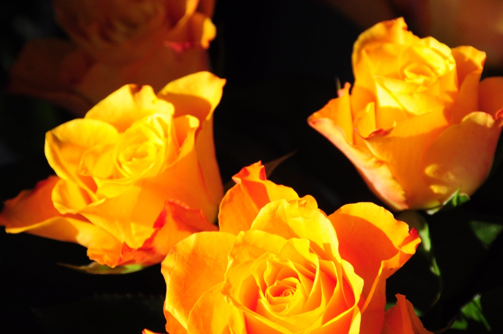 Aicina pieteikt Liepājas veiksmīgākās NVO un brīvprātīgā darba veicējus