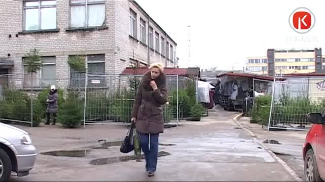 Sāk tirgot eglītes