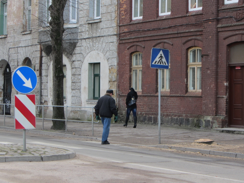 Raiņa ielā uz satiksmes drošības altāra ziedots koks
