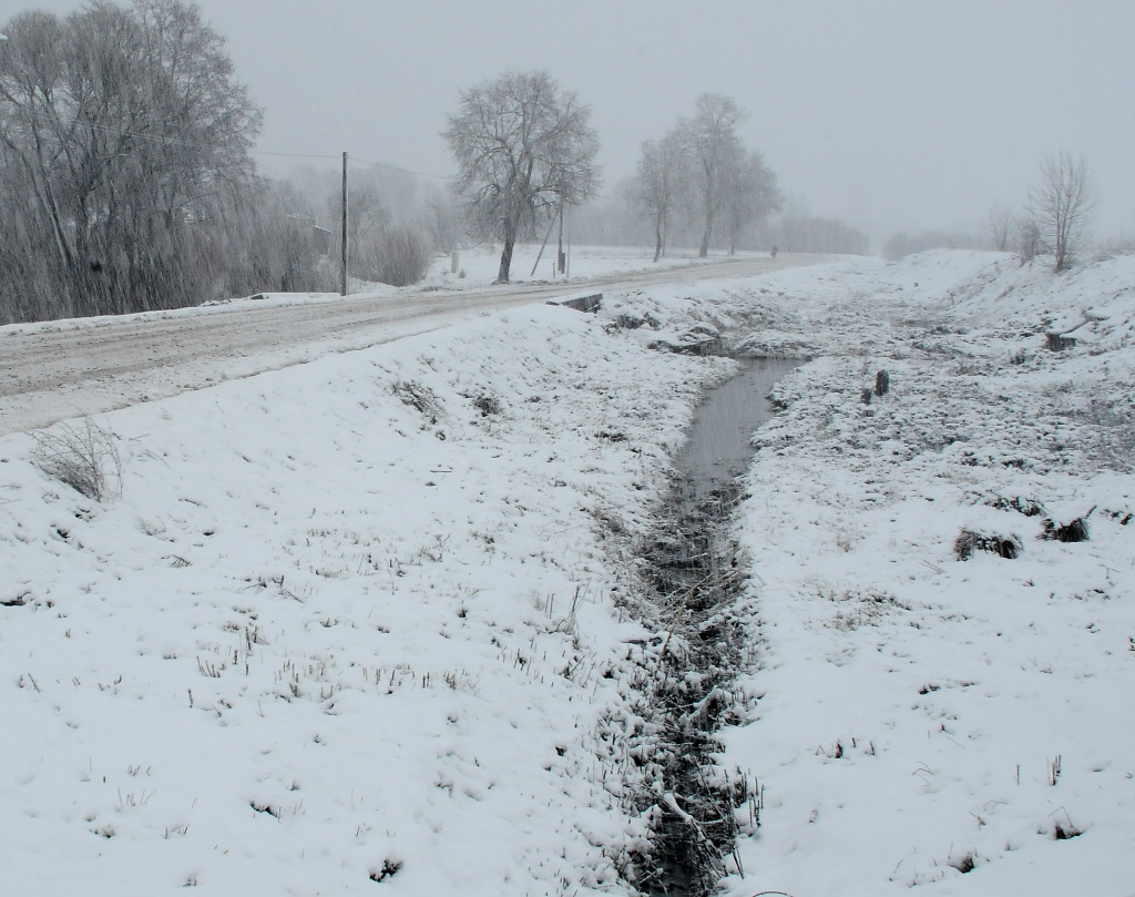 Piedzīvo trauksmainu nakti