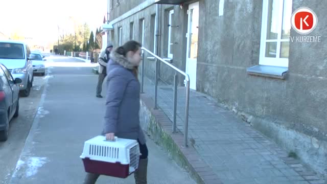 ”Metalurga” kaķiem meklē saimniekus