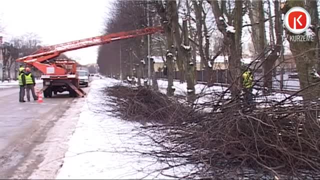 Kokiem Karostā – “tehniskā apkope”
