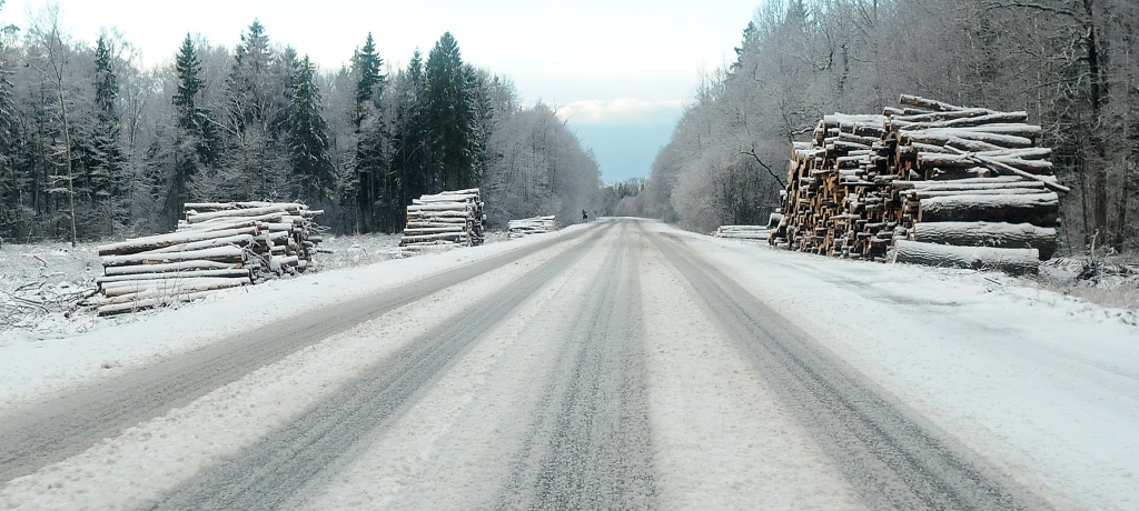 Pētīs iespēju atvērt “Latvijas Finiera” ražotni