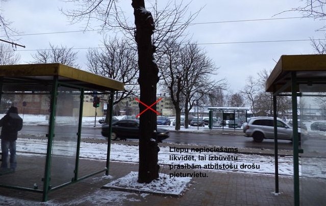 Izsludināta publiskā apspriešana par koku ciršanu tramvaja līnijas renovācijai