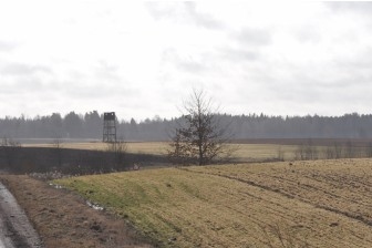 Izglābj zirgus no gaļas kombināta