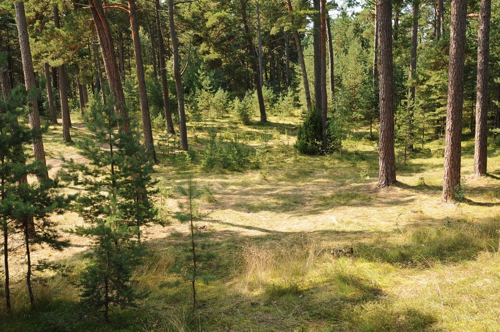 Jūrmalciemā būs pasākums “Vai pazīsti Jūrmalciemu?”