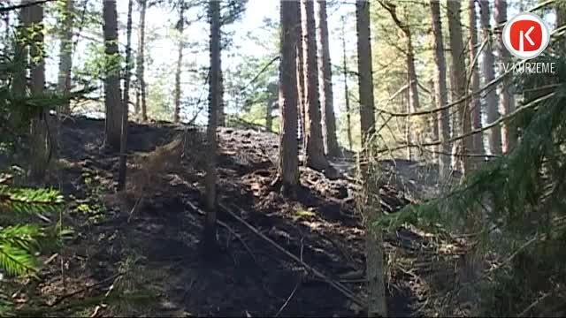 Papes dabas parkā izdeg 10 hektāri meža