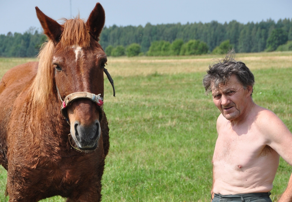 Lauki izslāpuši pēc lietus