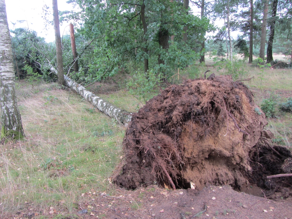 Biedrība “Dižvanagi” cieš zaudējumus negaisa laikā
