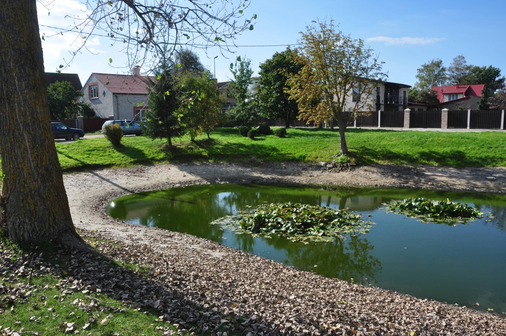No dīķīša pazūd ūdens