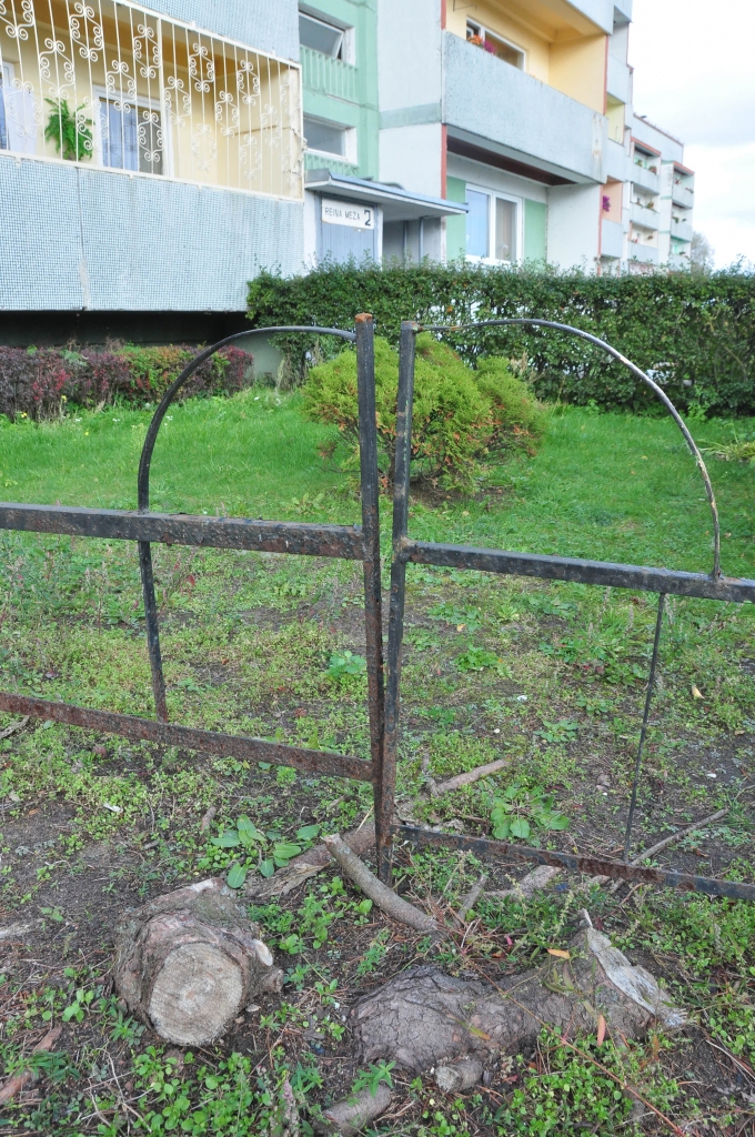 Kam traucēja priedītes?