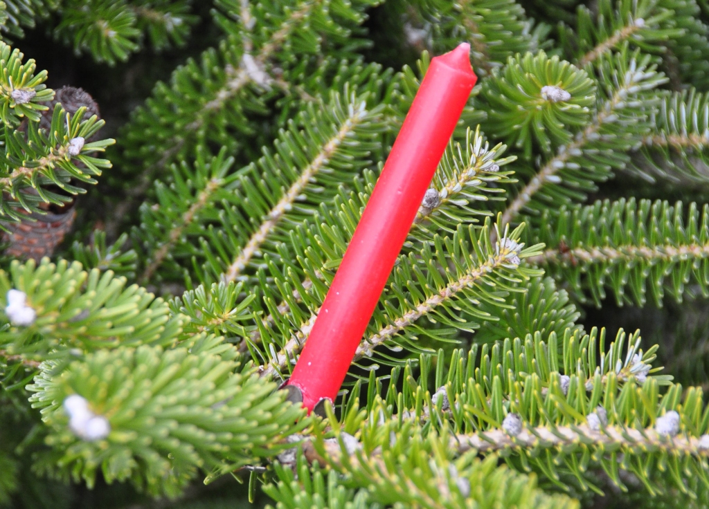 Izdziedās Ziemas saulgriežiem veltītās dziesmas