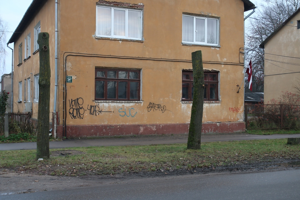 Atrod koku mocītāju