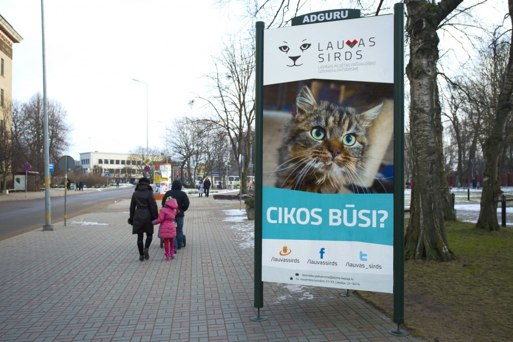 Dzīvnieku patversmē ”Lauvas sirds” gada laikā adoptēts vairāk nekā pusotra simta dzīvnieku