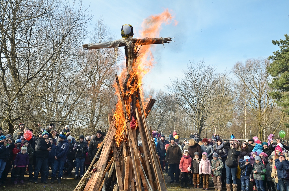 Svin krievu Meteņus “Masļeņicu”