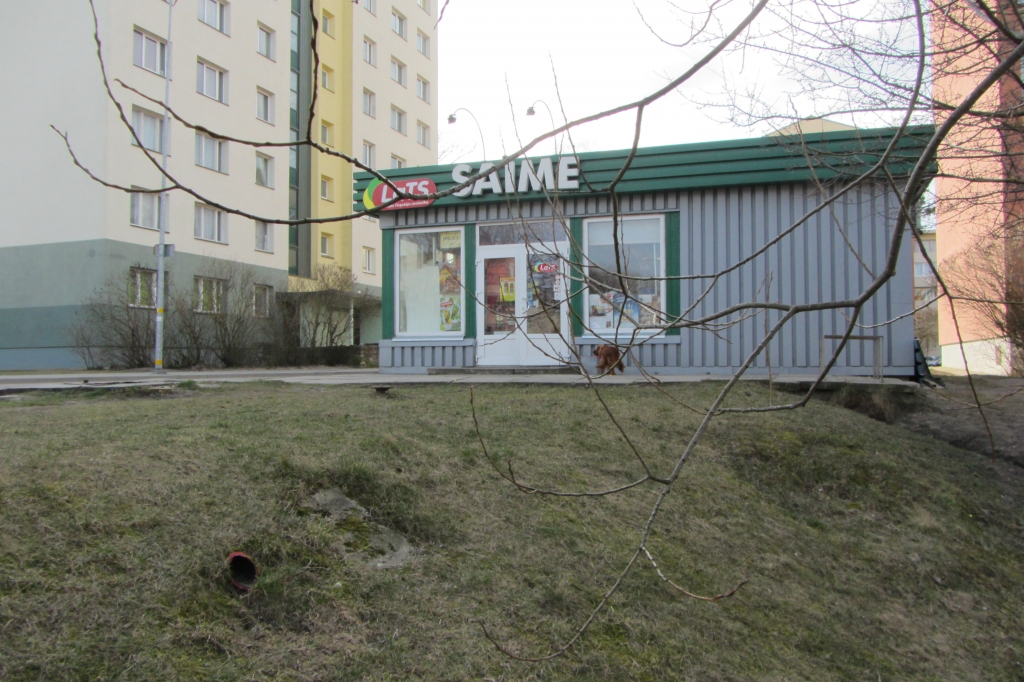 Nevis piesārņo dīķi, bet mazina plūdus