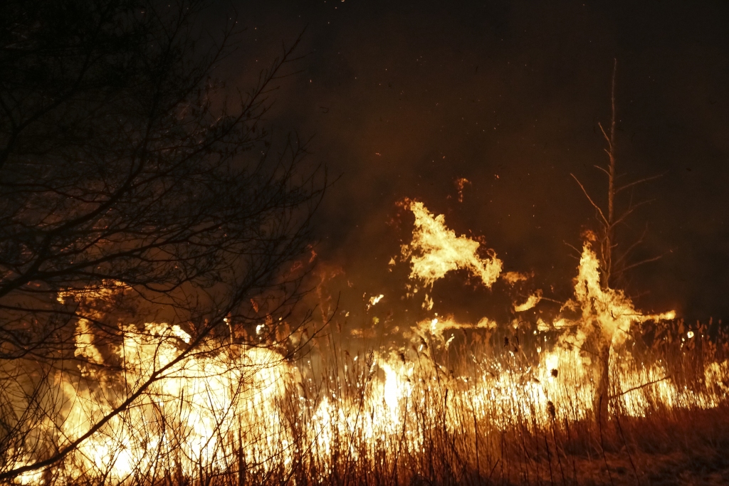 Kūlas svilināšana turpinās, sasniegti jauni antirekordi