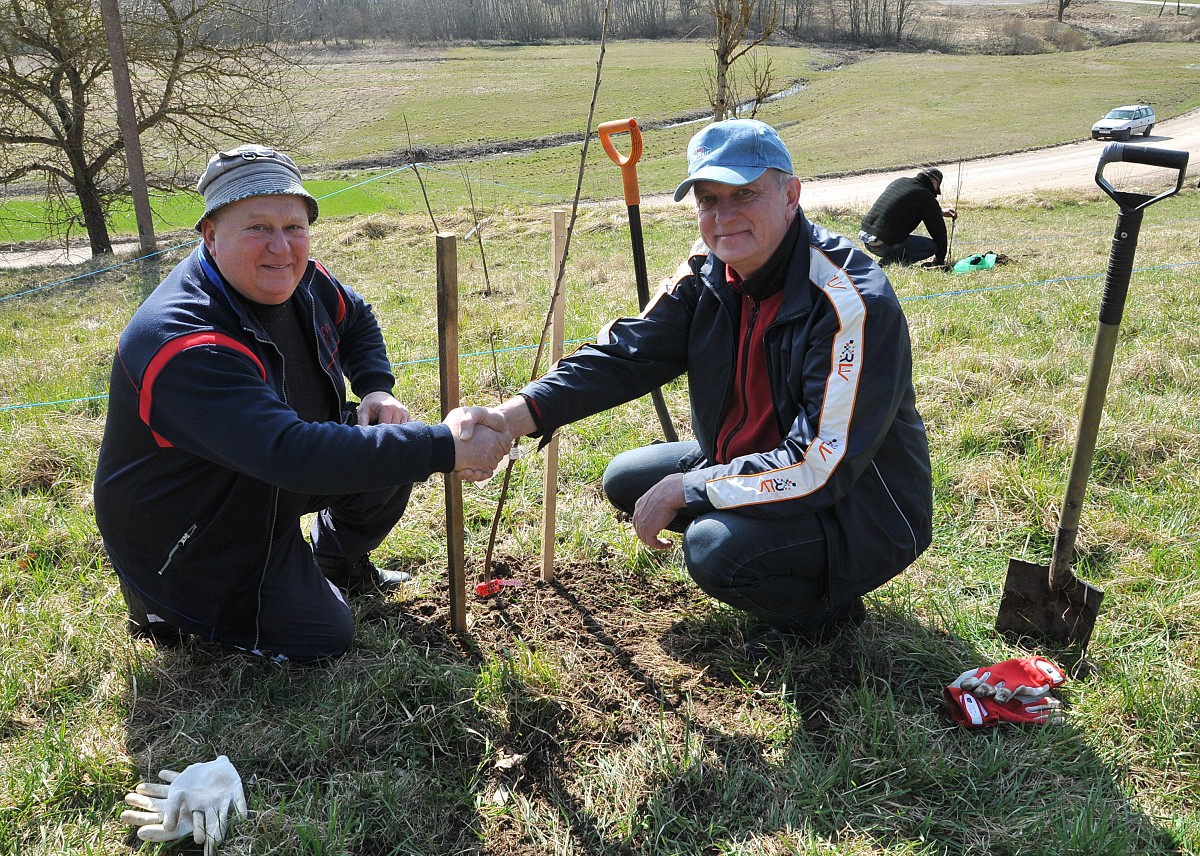 Rallija ”Kurzeme” 50 gadu jubilejā Vecpilī stāda 50 ķiršus