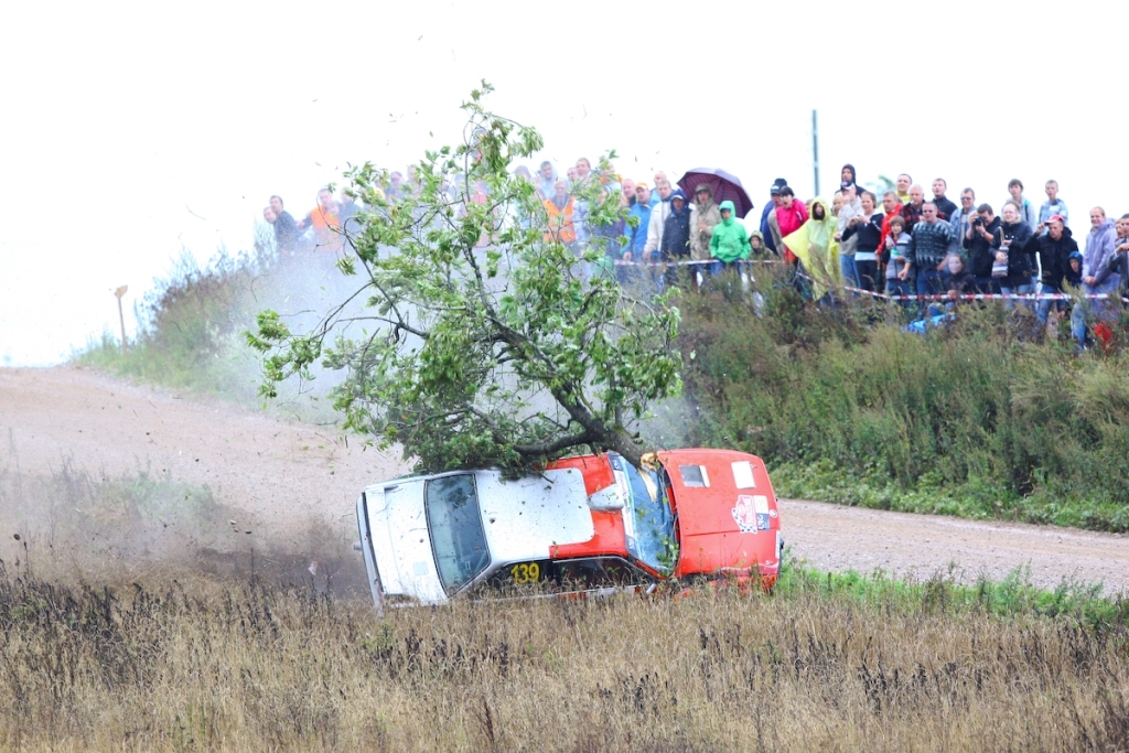 Rallija ”Kurzeme” 50 gadu jubilejā Vecpilī stādīs 50 ķiršus