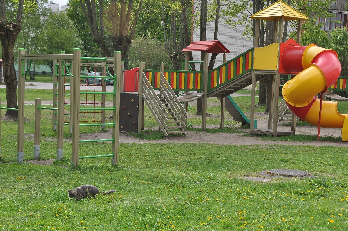 Vēlas pievērst uzmanību drošībai