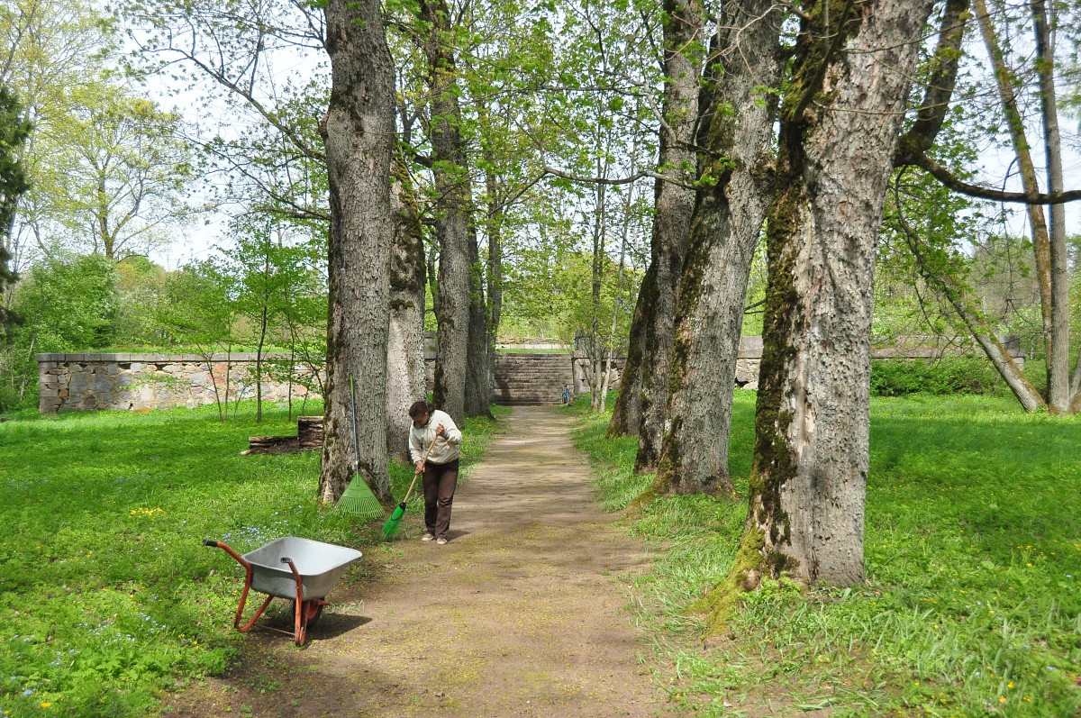 Kazdangas parkā veidos labirintu