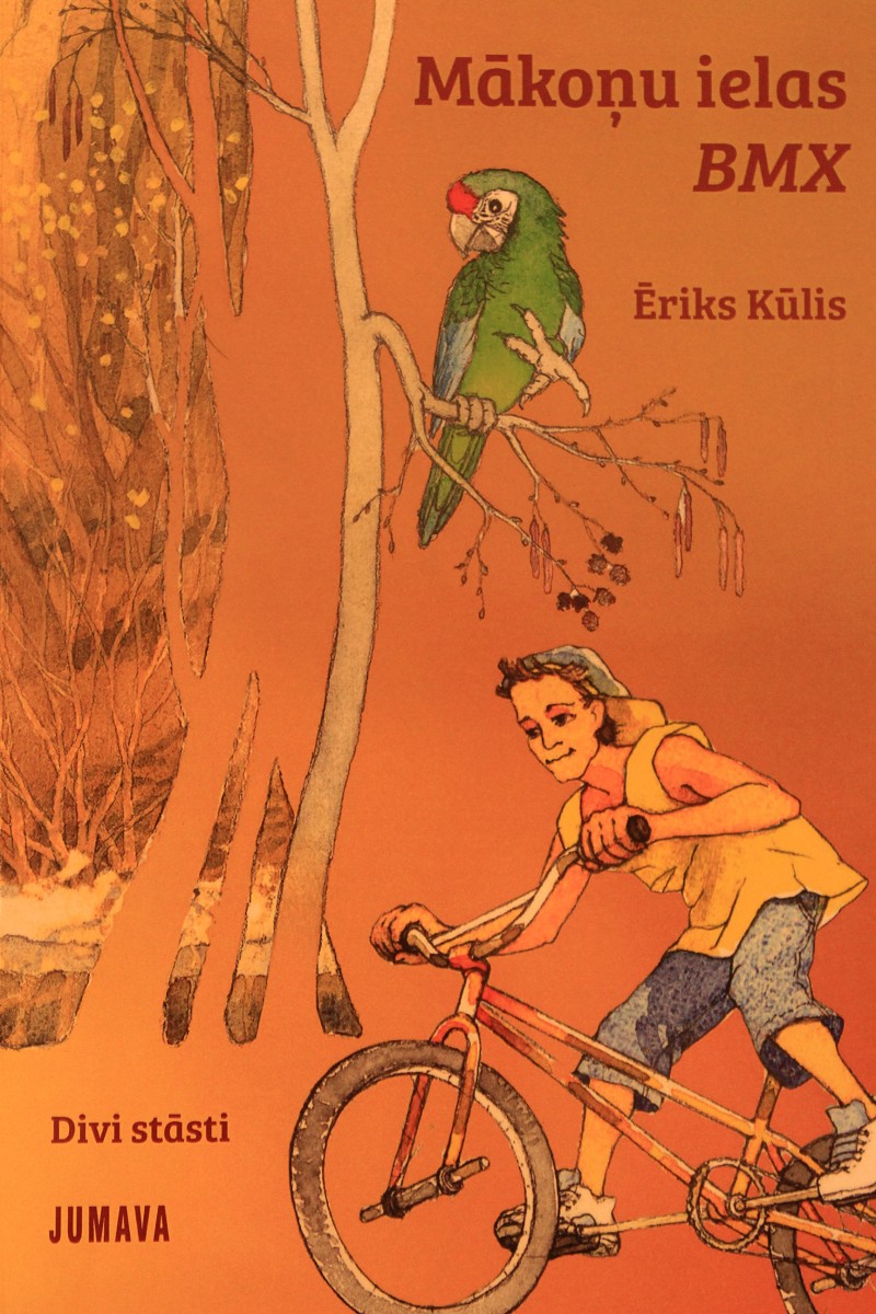 Grāmata pusaudžiem – “Mākoņu ielas BMX”