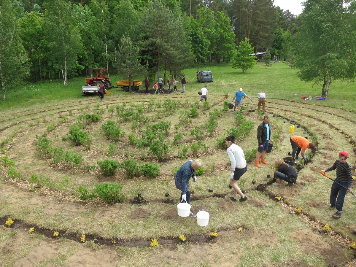 Kazdangas parkā izveidots labirints