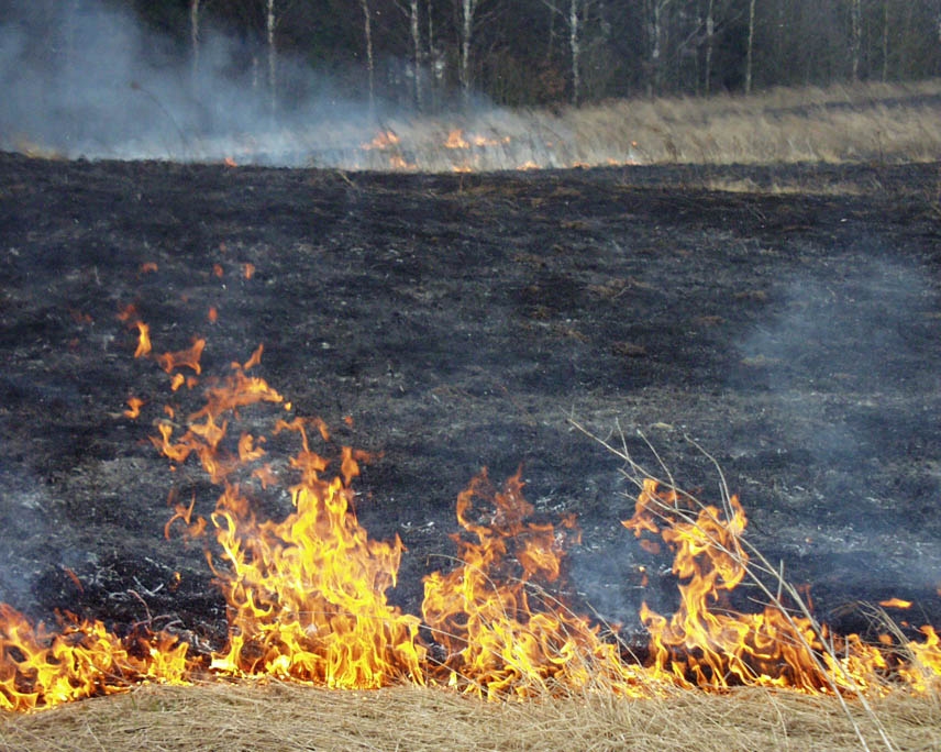 Pieturoties sausam laikam, sākusies zāles degšana