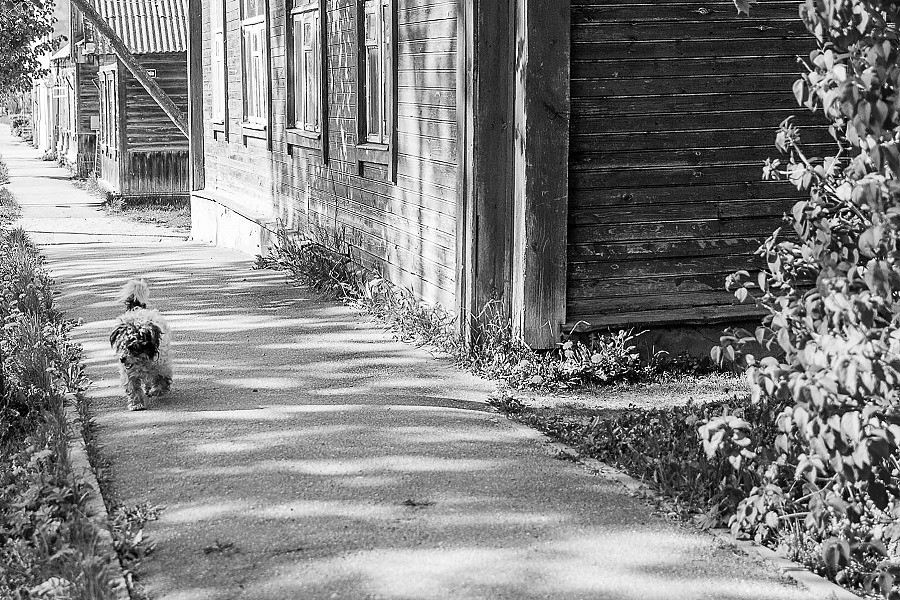 ”FOTAST” īsteno projektu ”Liepājas iela Latvijas garumā”