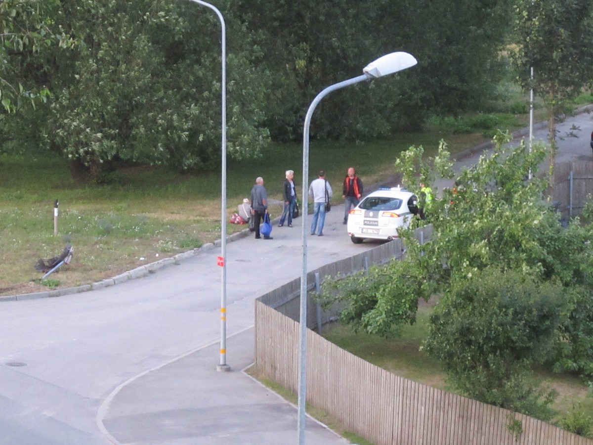 3,68 promiļu reibumā trāpa ceļa zīmē