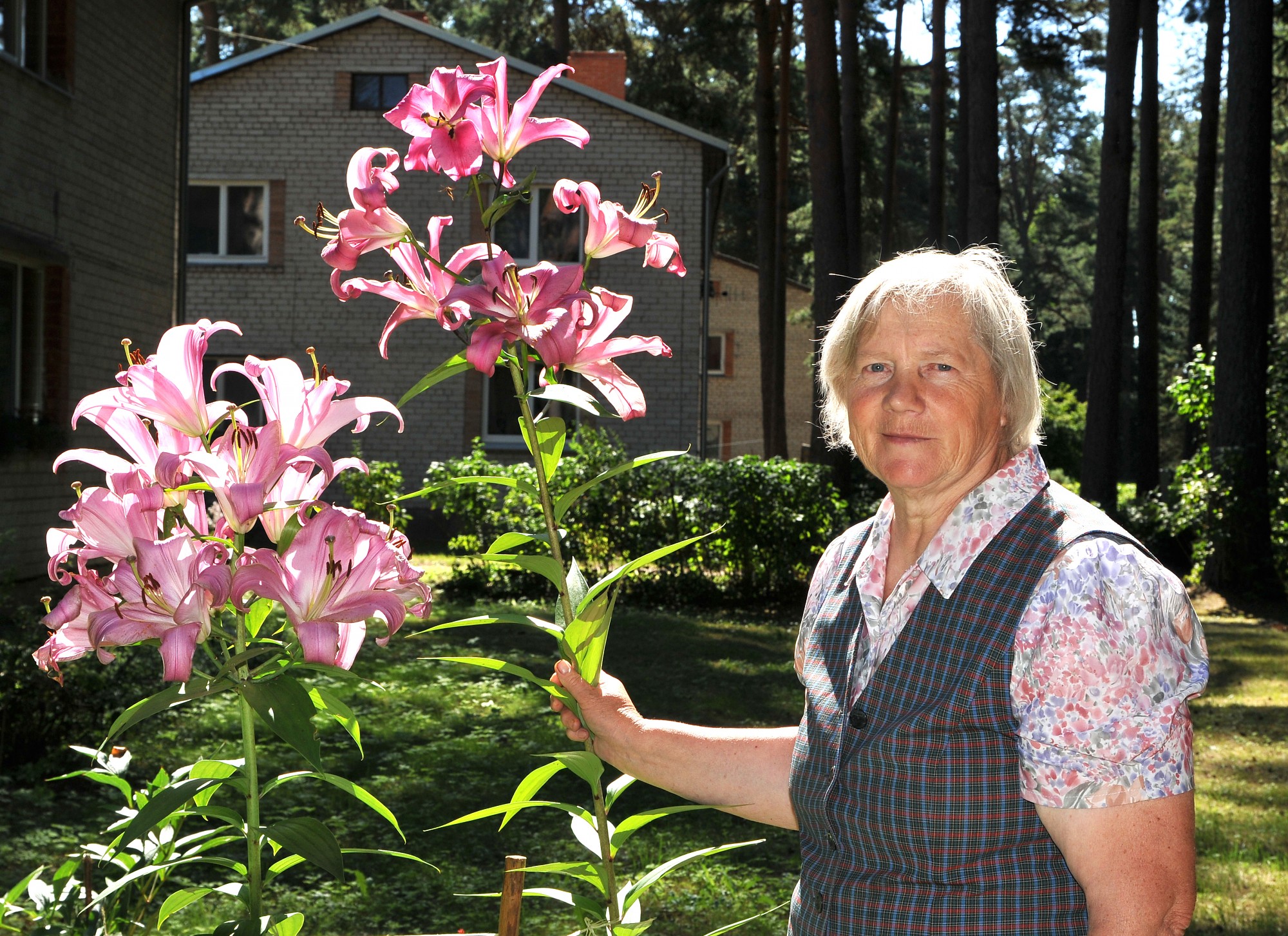Izaug milzu lilija