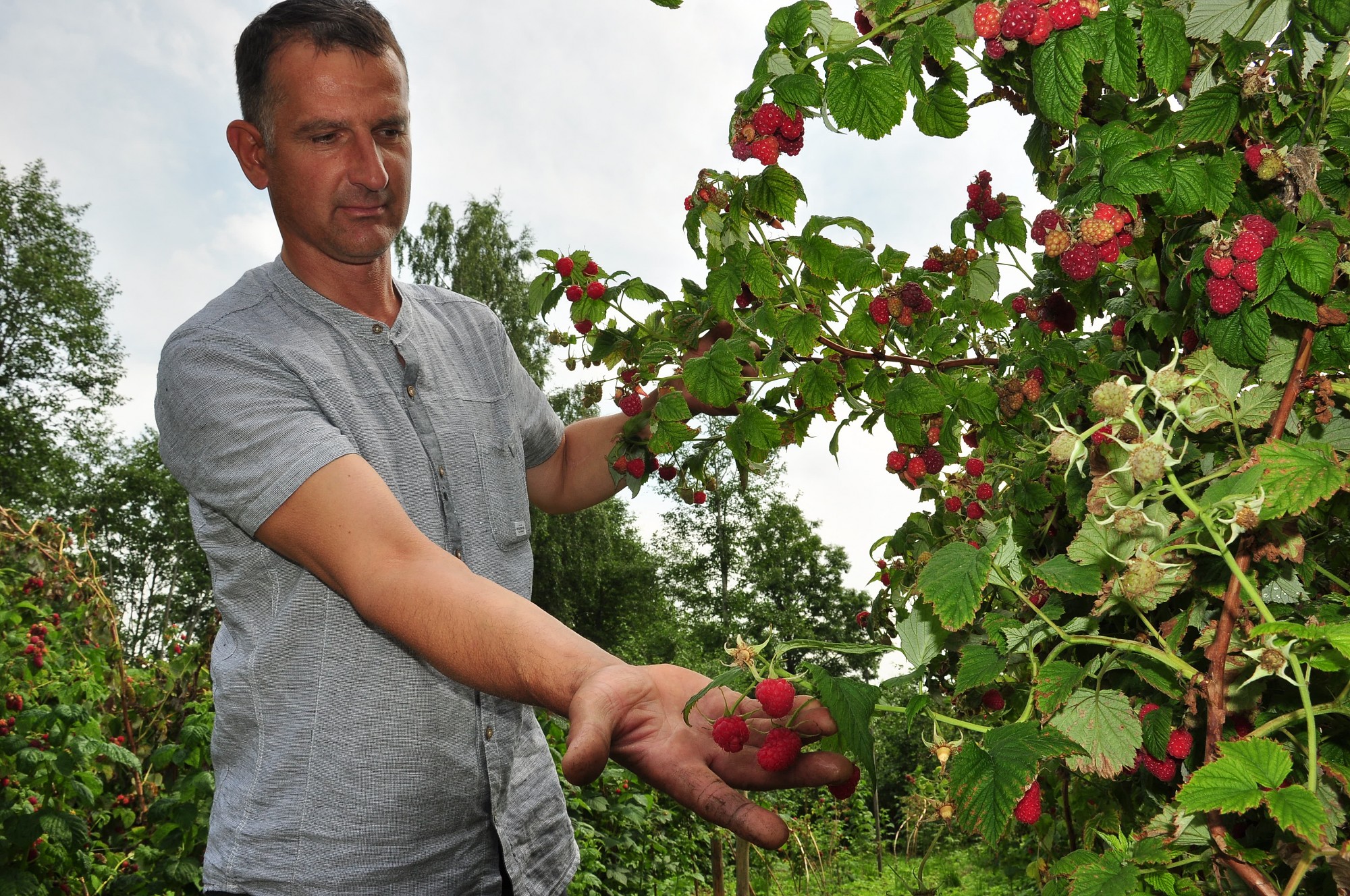 Izceļas ar vienkāršību