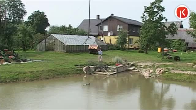 Bioloģiskās lauksaimniecības plusi un mīnusi