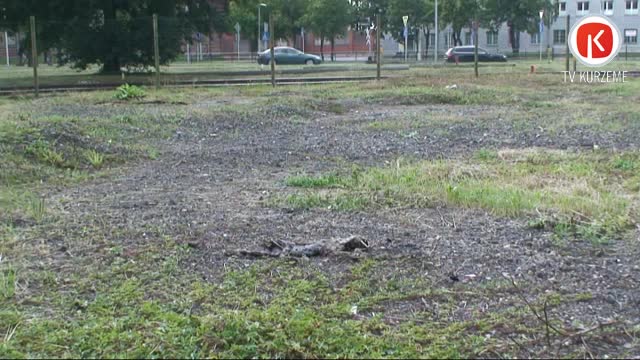 Cik operatīvs ir Liepājas domes karstais tālrunis?