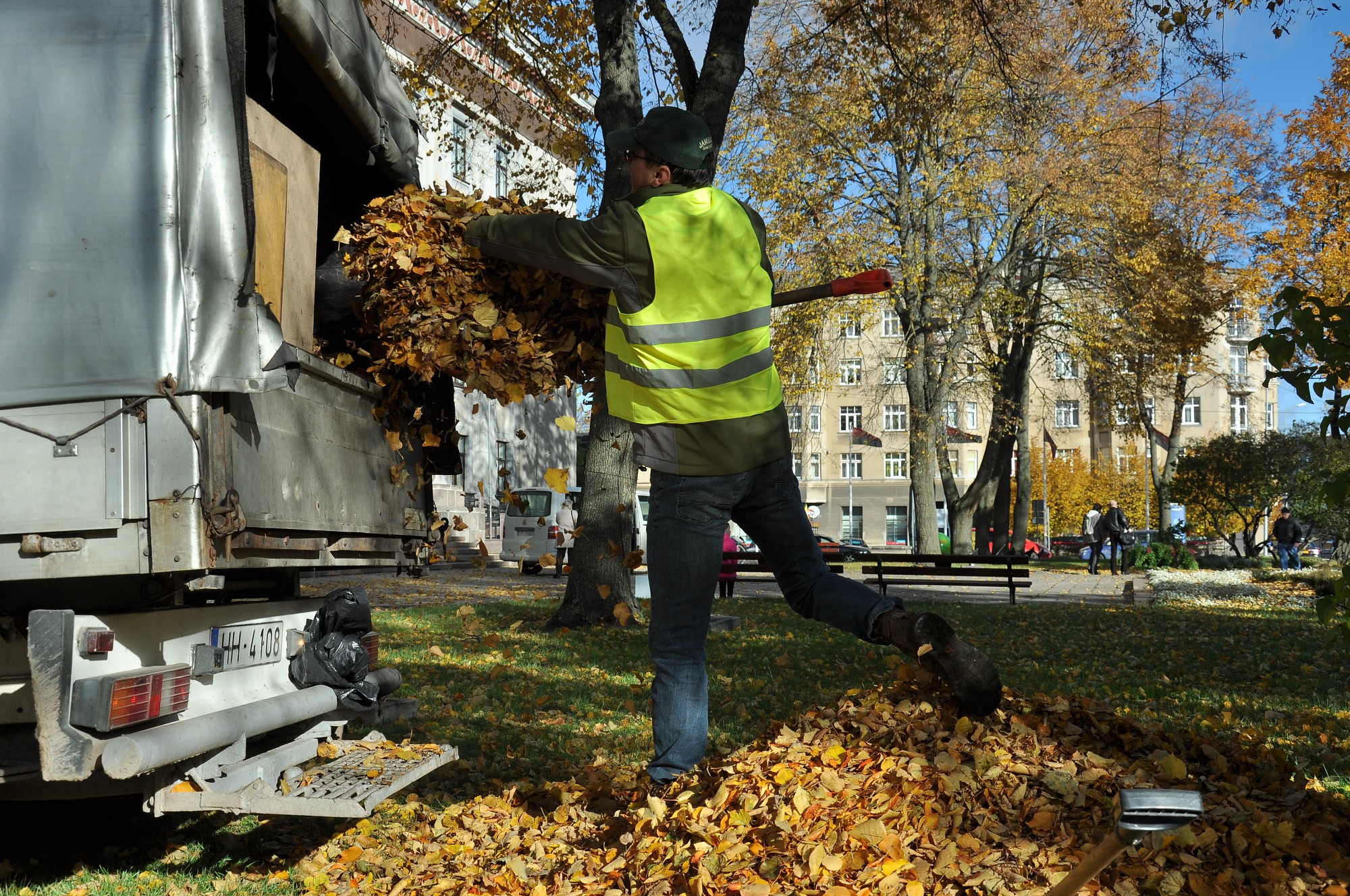 Lapas – krāšņums, kas rada galvassāpes