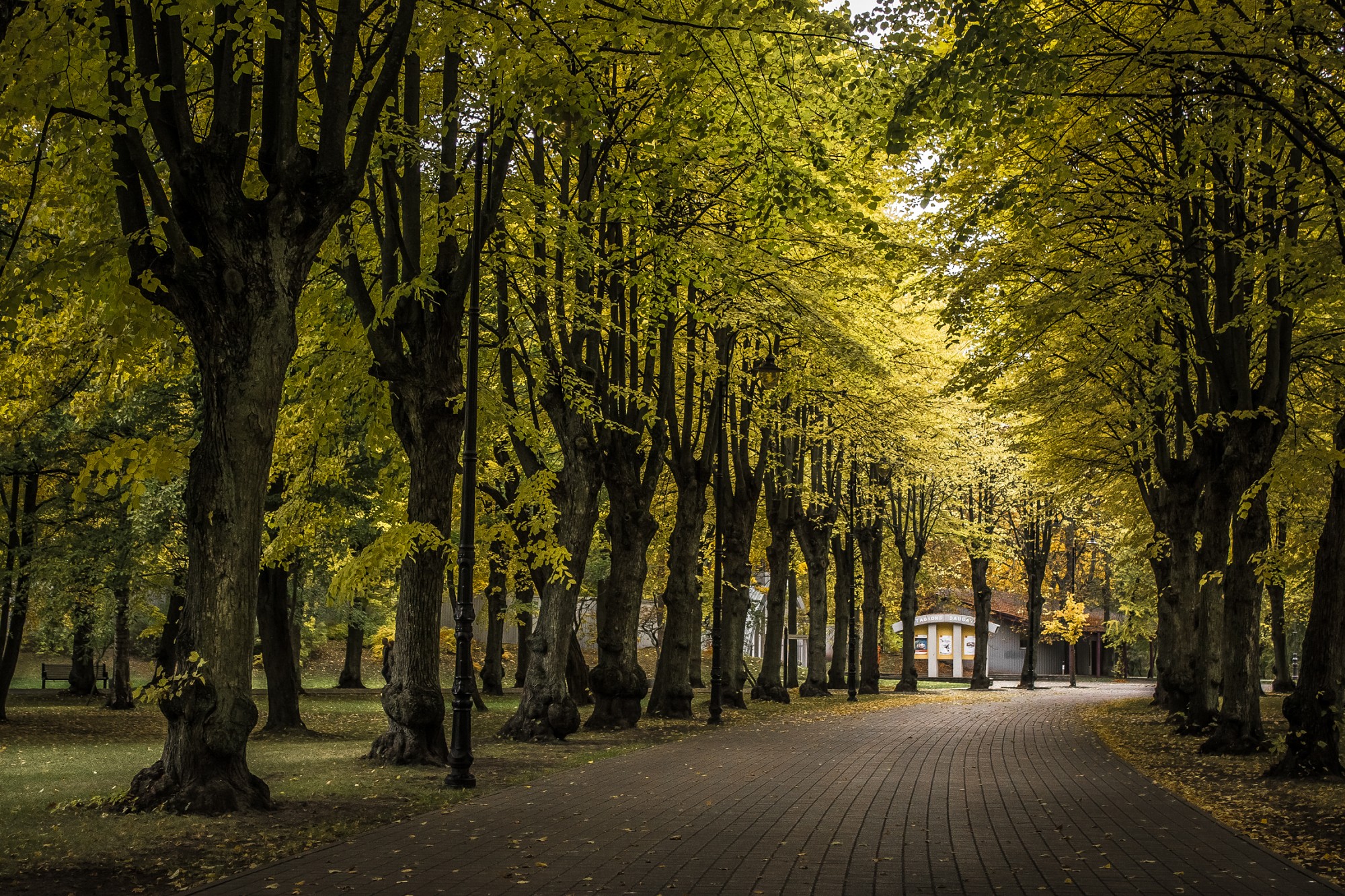 Foto: Rudens krāso Liepāju