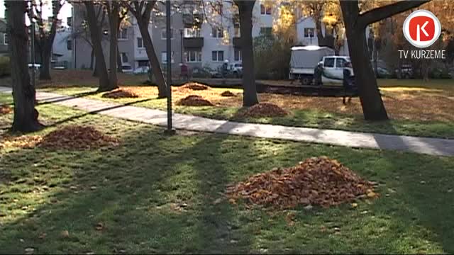 Vieniem – krāšņums, citiem – galvassāpes
