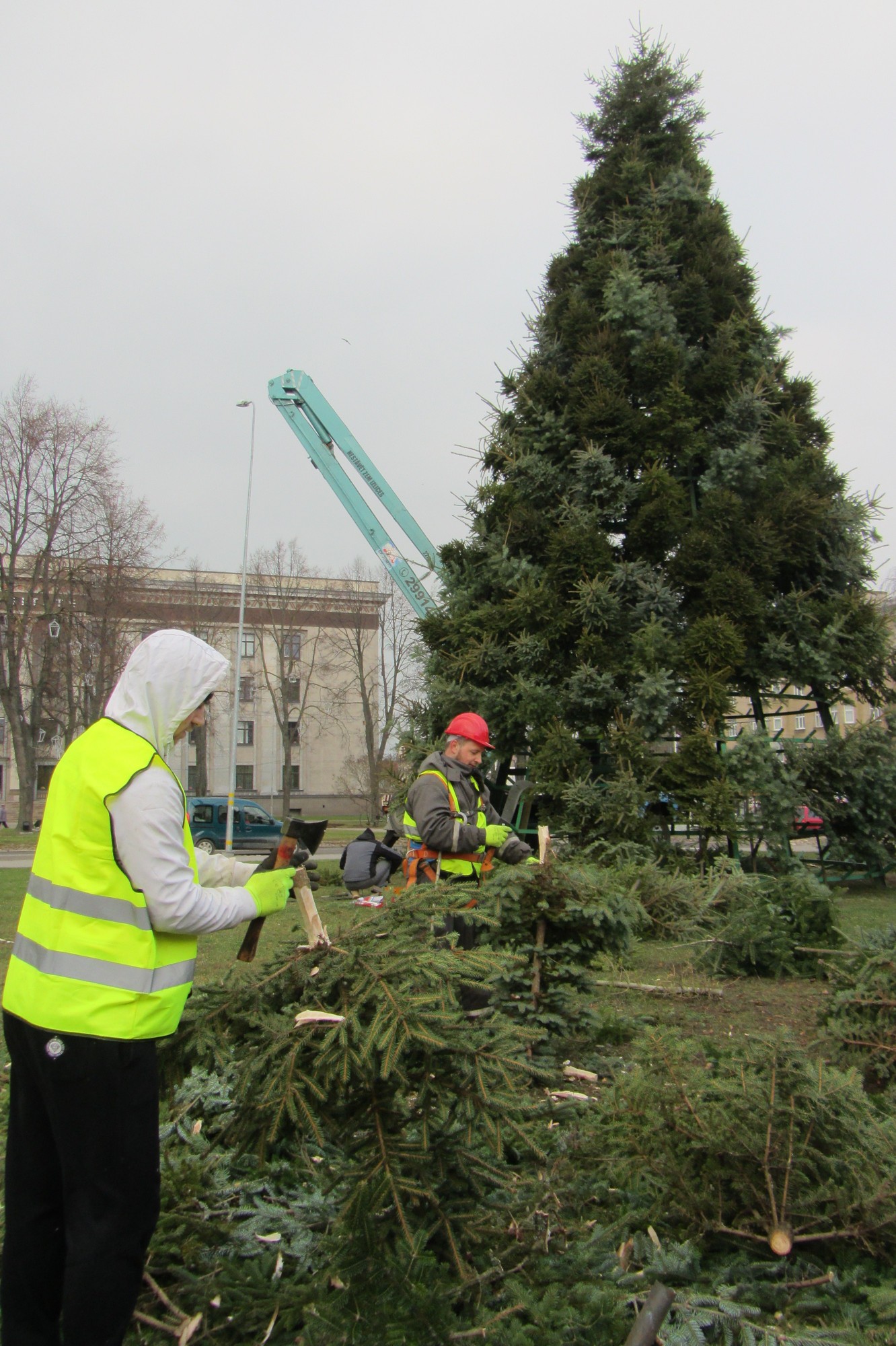 Top centrālā Ziemassvētku egle, Adventa vainagu veidos rīt
