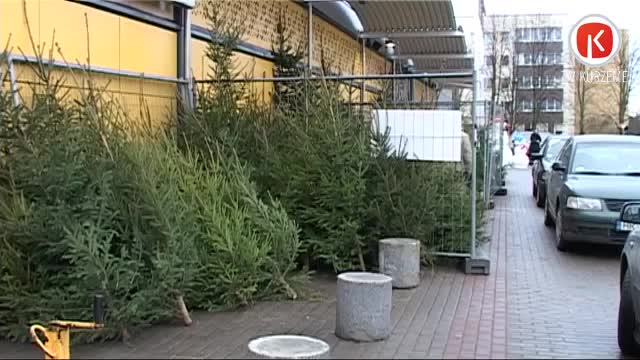 Mazai vai lielai, bet eglei jābūt!