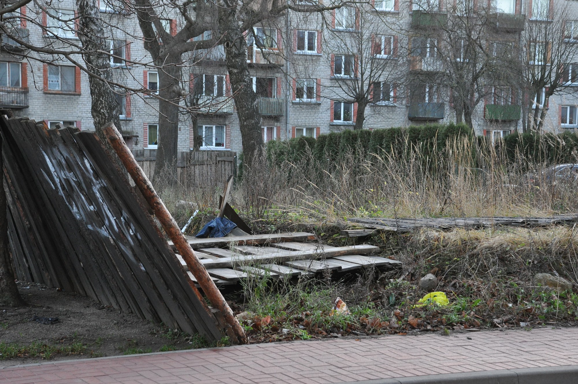 Spēcīgākās vēja brāzmas naktī fiksētas Liepājā – 26,1 metrs sekundē