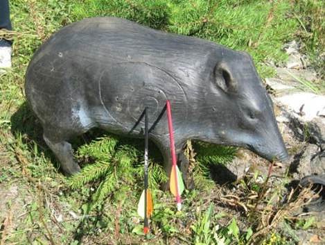 Loku šāvējiem godalgas Lietuvā