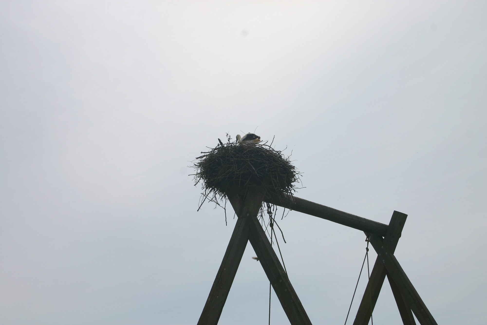 Fotokonkurss “Durvis uz…”